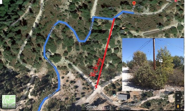 Hickory Drive, Cedar Glen