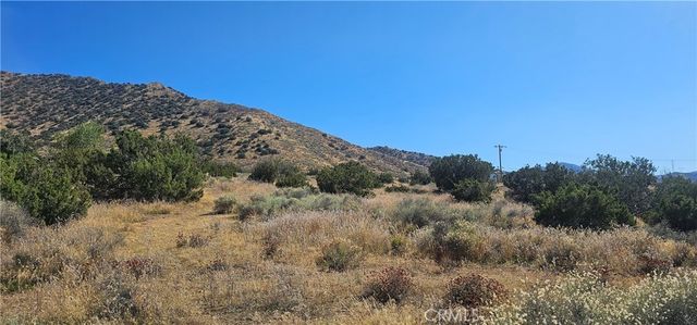 Soledad Pass Road, Acton