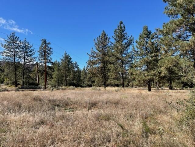 Lot 19 Devils Ladder Road, Mountain Center CA | Mountain Center Lots ...