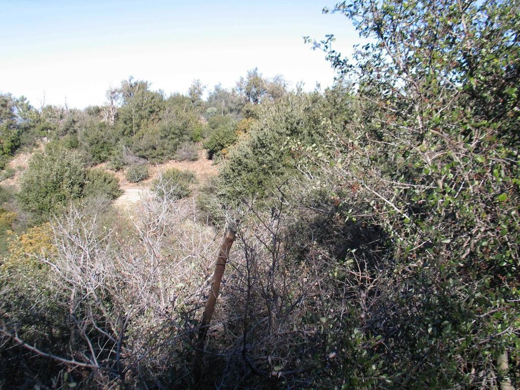 Country Club Dr., Julian CA Julian Lots/Land Homes For Sale