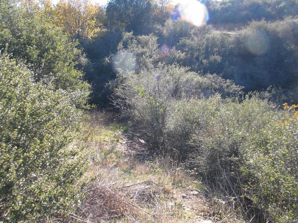 Country Club Dr., Julian CA Julian Lots/Land Homes For Sale