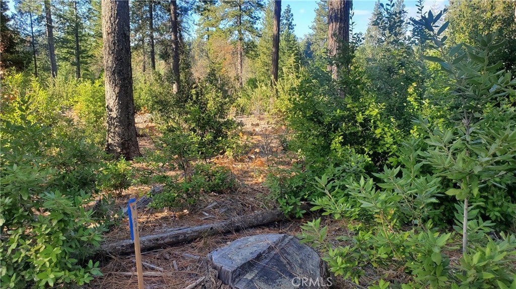 2 Coutolenc Road, Magalia CA Magalia Lots/Land Homes For Sale