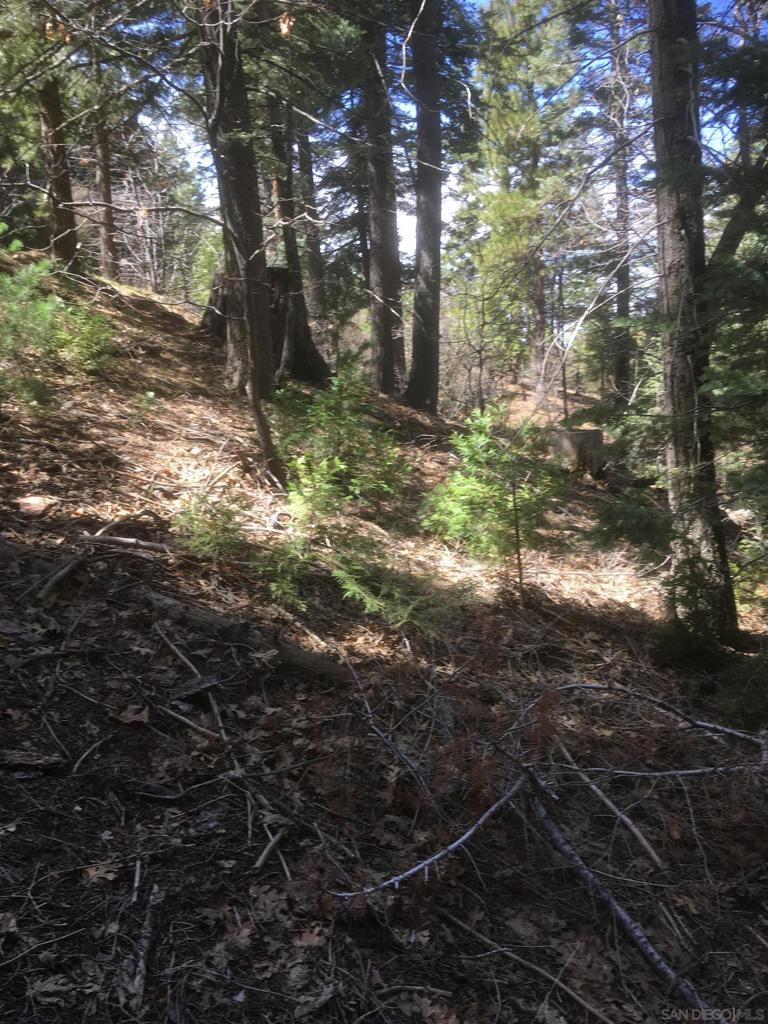 State Hwy 173, Lake Arrowhead CA Lake Arrowhead Lots/Land Homes For Sale