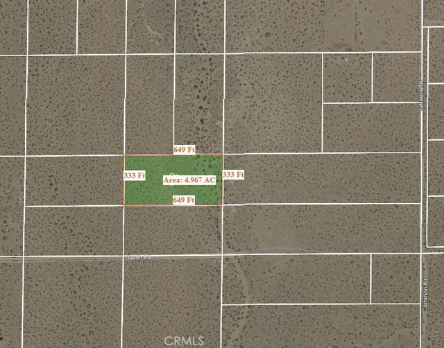 Cactus Road, Phelan