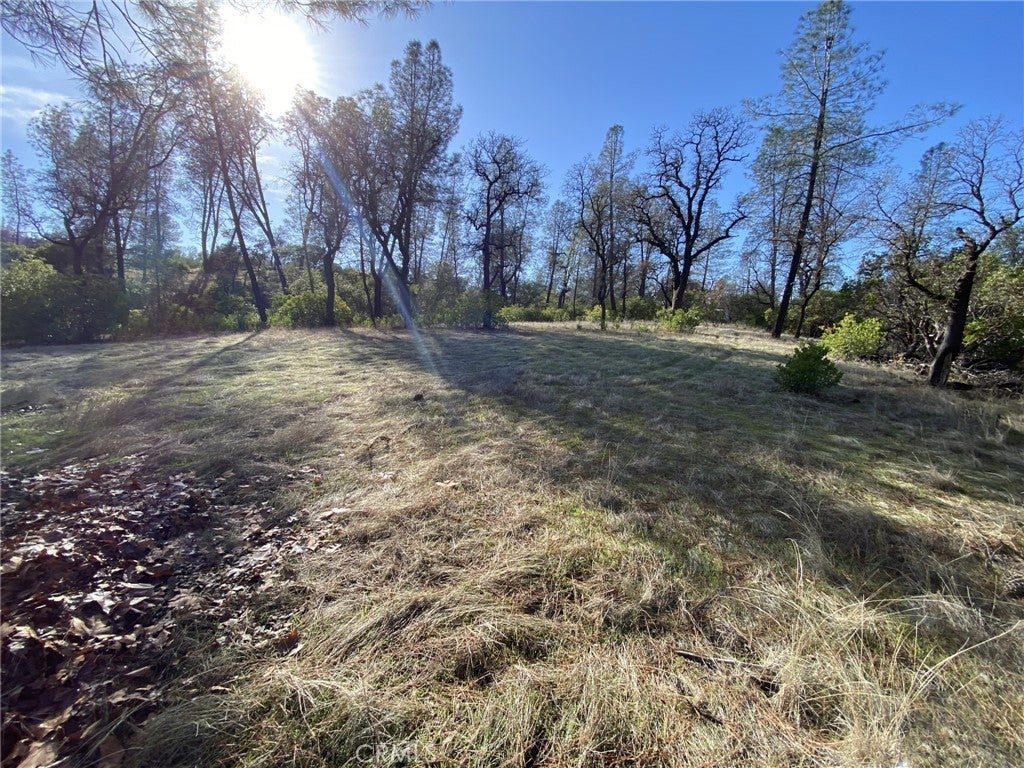 Photo of Listing #TR23230263