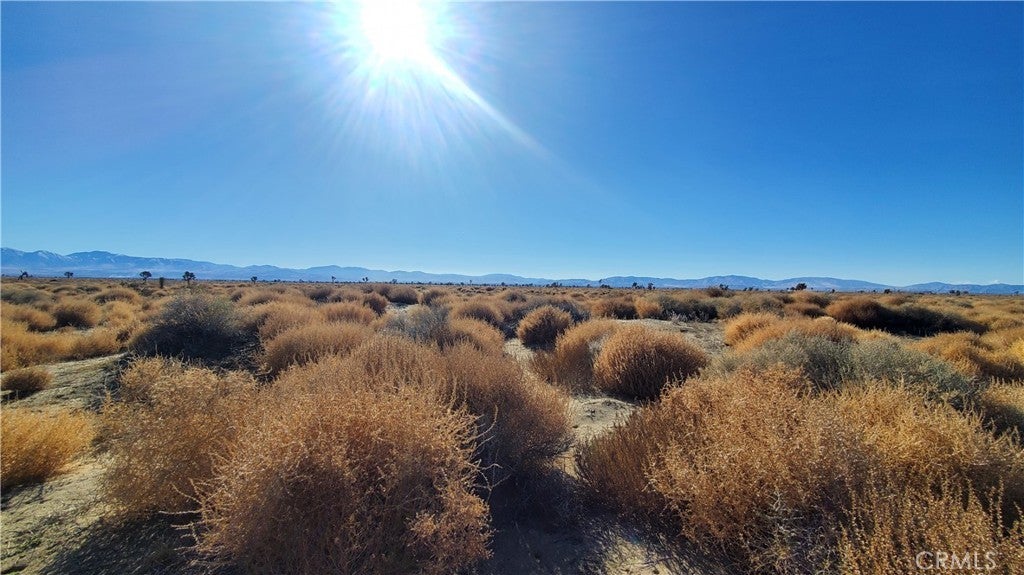 Photo of Listing #SR24005278