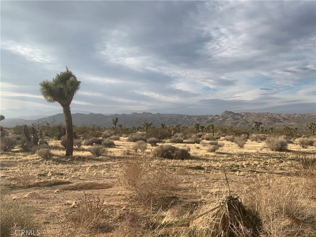 56925 Yucca Trail, Yucca Valley CA Yucca Valley Lots/Land Homes For Sale