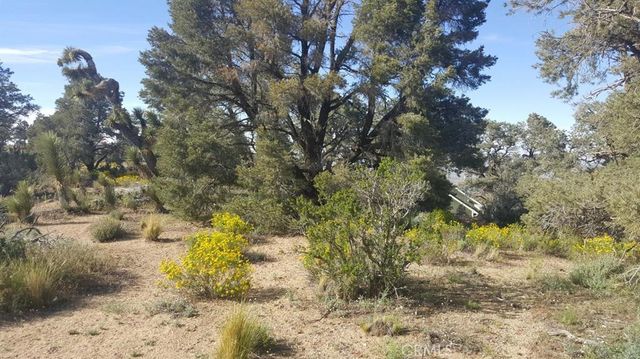 Scenic Creek Drive, Wrightwood