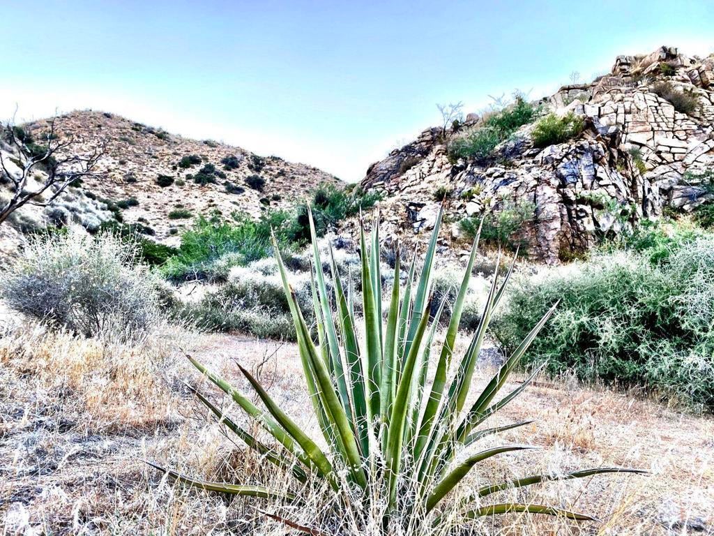 171 Water, Pioneertown CA Pioneertown Lots/Land Homes For Sale