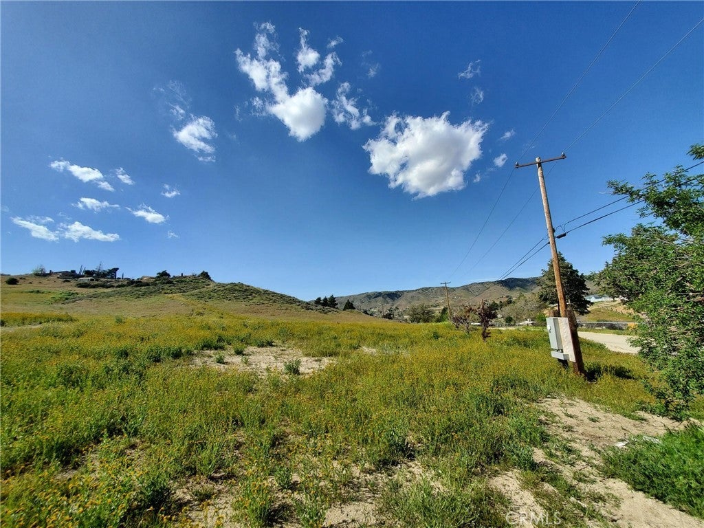87 St W Vic Vientos Drive, Leona Valley CA Leona Valley Lots/Land