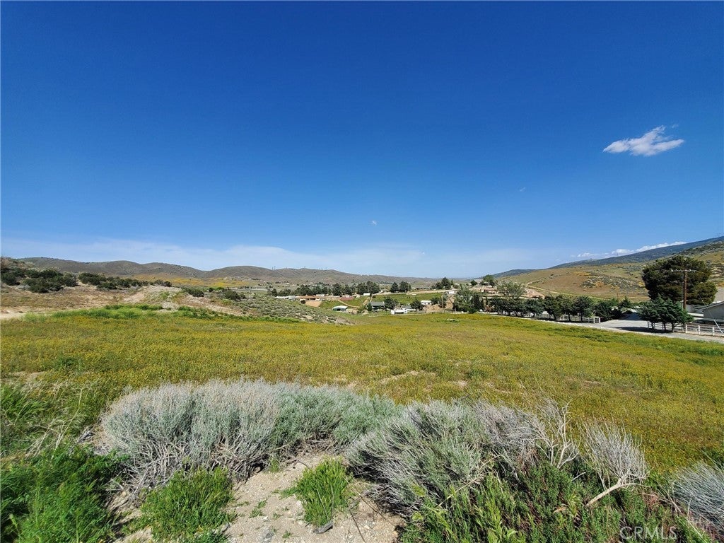 87 St W Vic Vientos Drive, Leona Valley CA Leona Valley Lots/Land