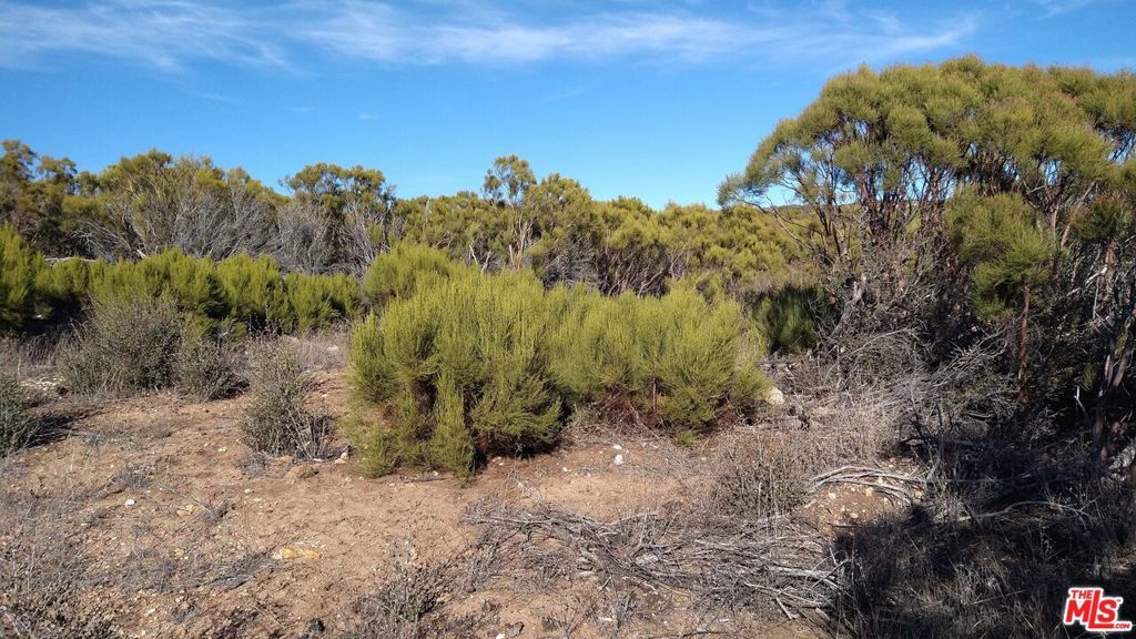 11 Cooper Cienega Truck Trail, Anza CA Anza Lots/Land Homes For Sale