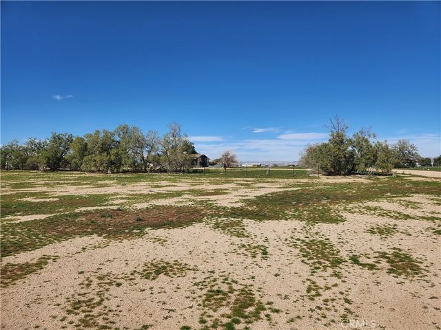 Yucca Rd, Newberry Springs