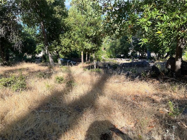 3607 Pine Terrace Drive, Kelseyville