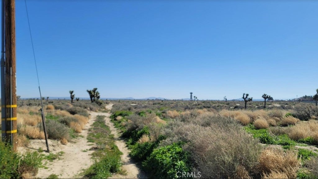 Photo of Listing #SR24042853