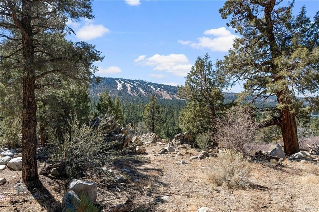 42565 Pegasus Way, Big Bear Lake