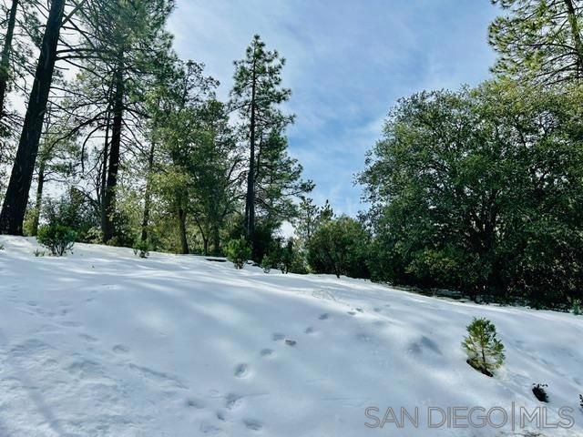 8 Saunders Meadow Rd, Idyllwild