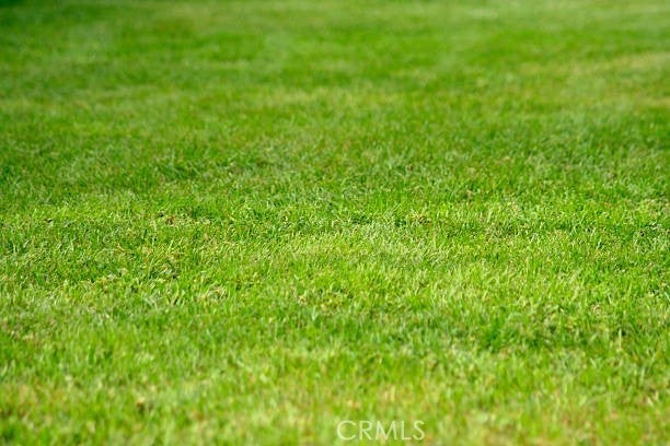 Photo of Listing #CV24048309