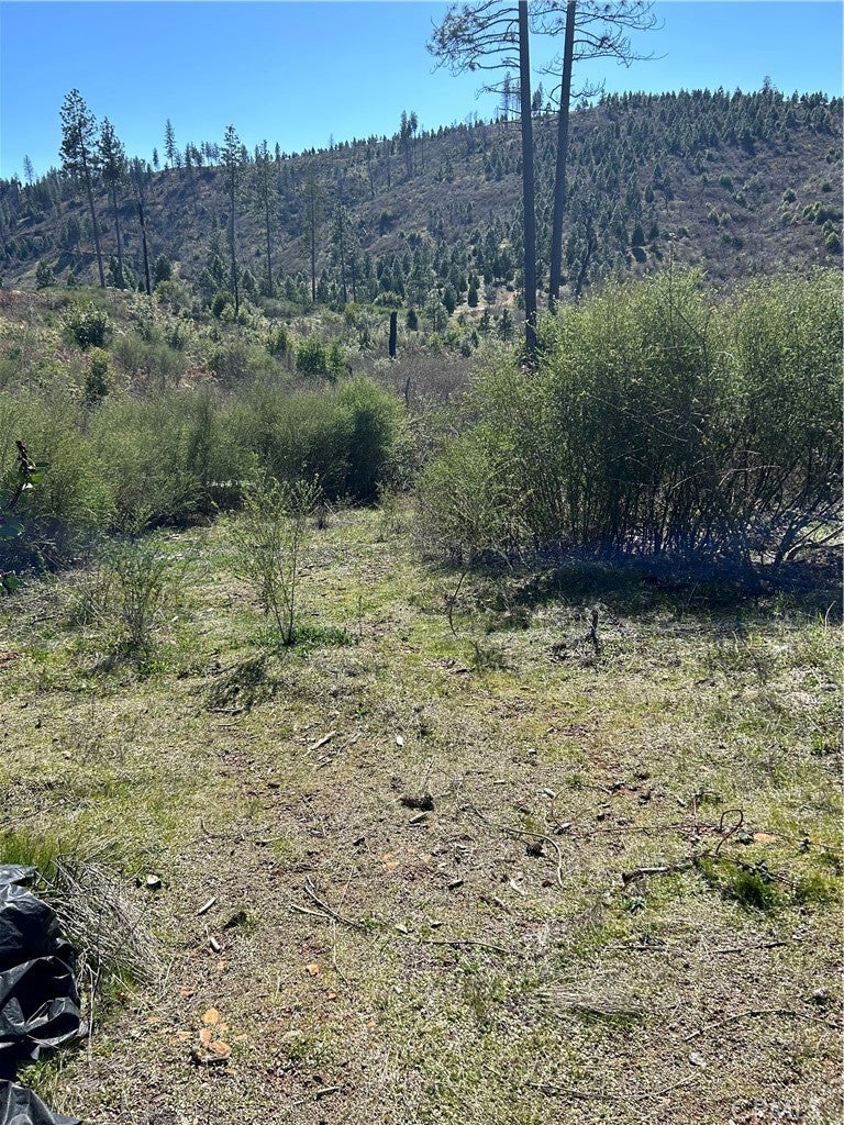 Photo of Listing #PT24051656