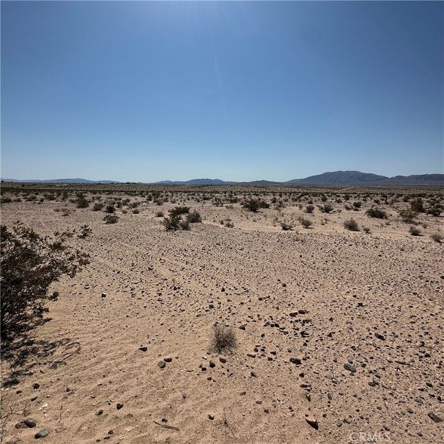 1234 Taco Drive, 29 Palms