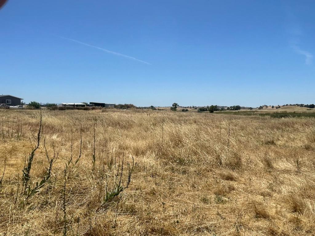 2280 Grapevine Gulch Road, Ione CA Ione Lots/Land Homes For Sale