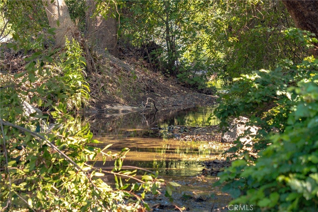 Photo of Listing #SW24061827