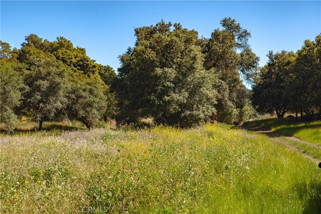 Photo of Listing #SW24061842