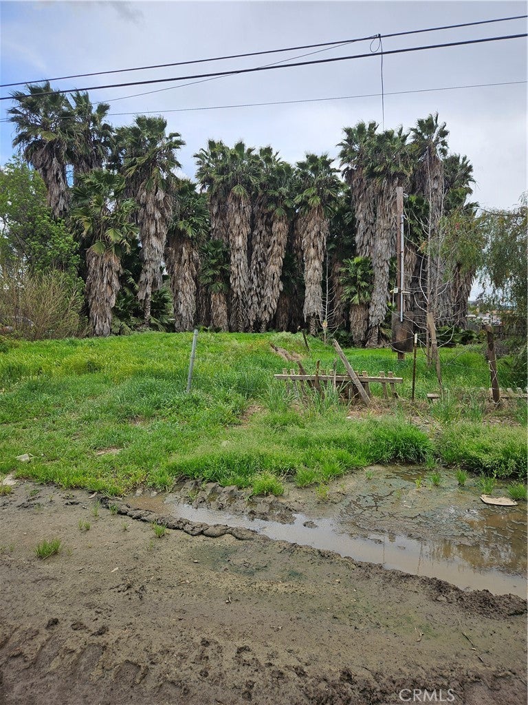 Photo of Listing #IV24062556