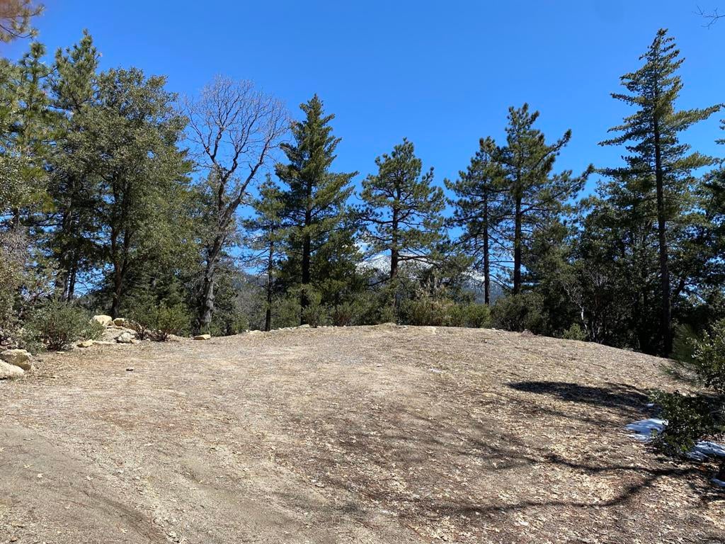 52952 Cedar Crest Drive, Idyllwild CA Idyllwild Lots/Land Homes For Sale