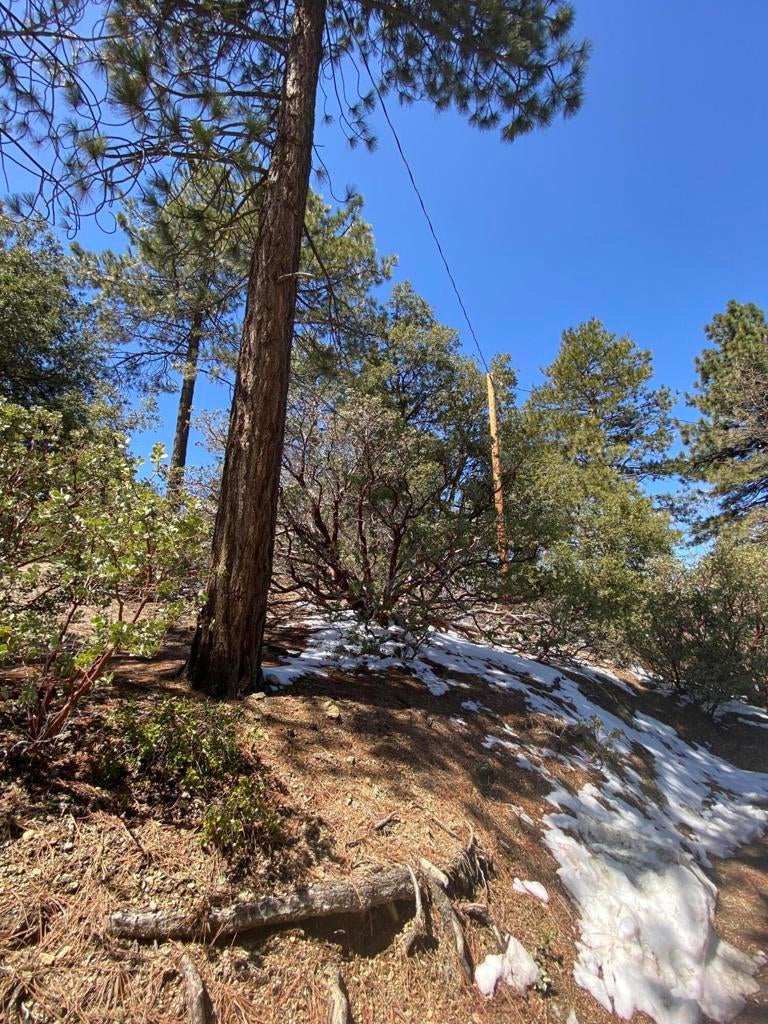 52952 Cedar Crest Drive, Idyllwild CA Idyllwild Lots/Land Homes For Sale