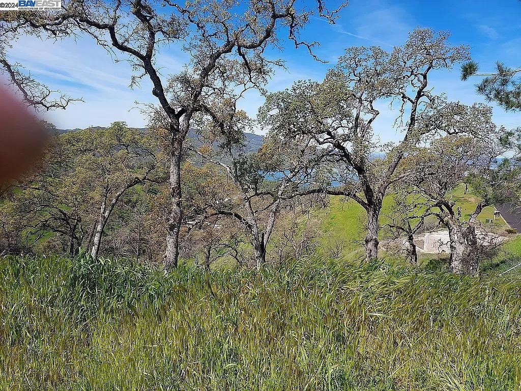 1123 Headlands Drive, Napa CA Napa Lots/Land Homes For Sale