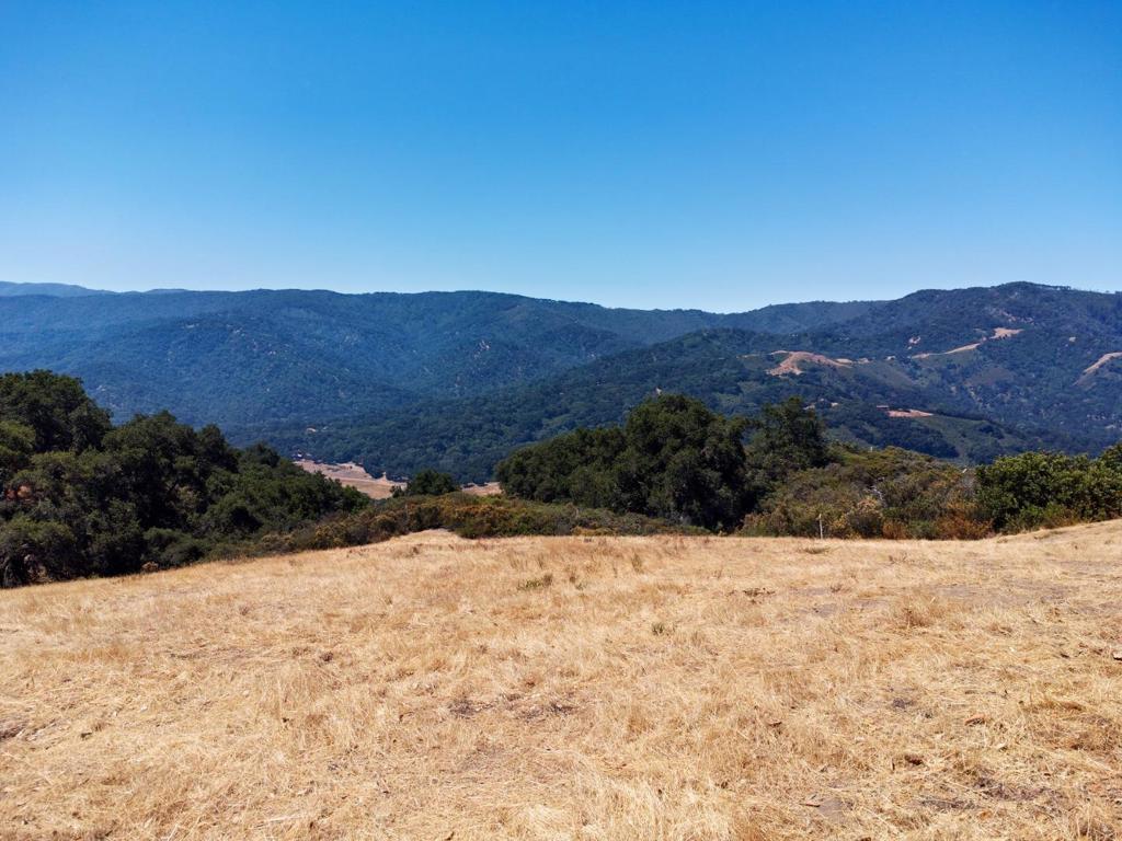 Photo of Listing #ML81962252