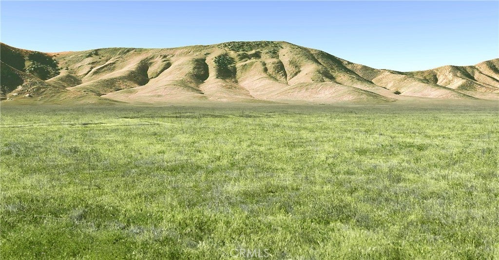 Photo of Listing #PI24081126