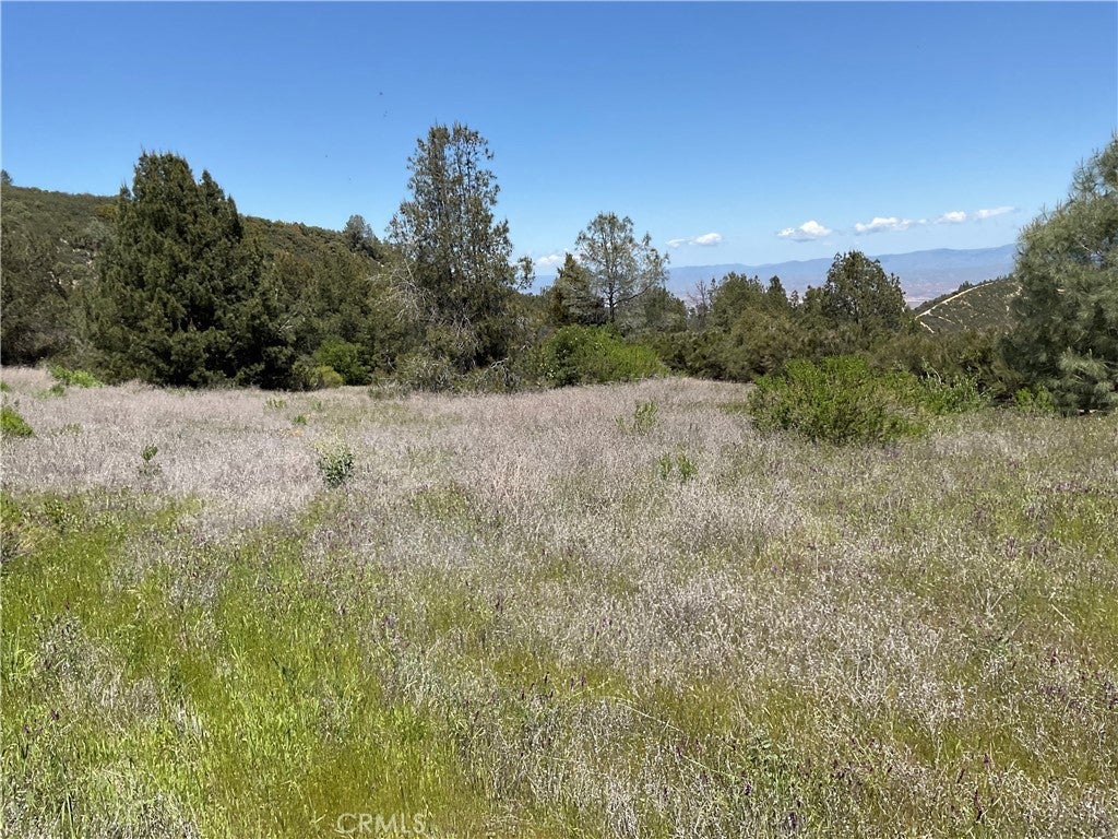 Photo of Listing #NS24084798