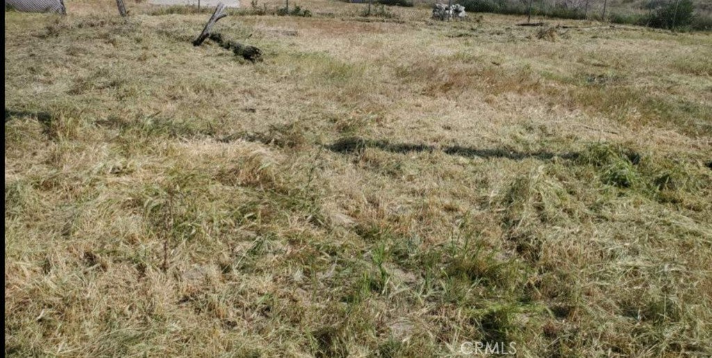 Photo of Listing #DW24086825