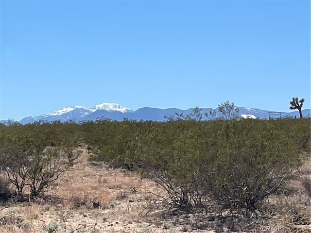 Polaris Avenue, Joshua Tree