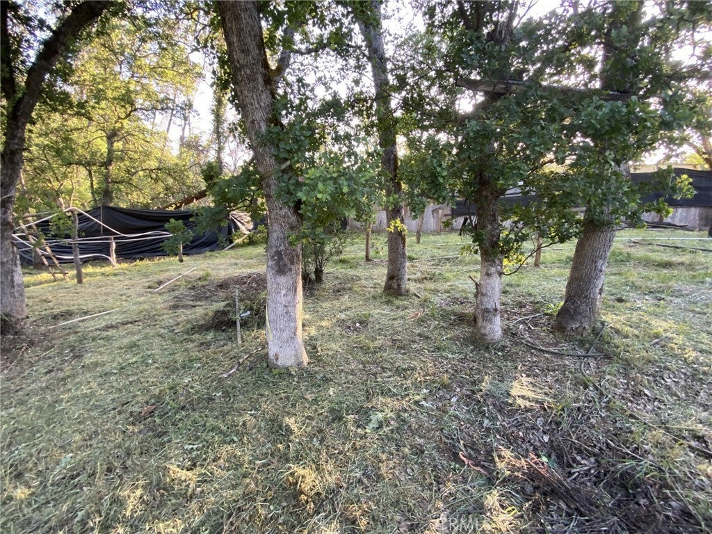 Stagecoach Road, Corning CA Corning Lots/Land Homes For Sale