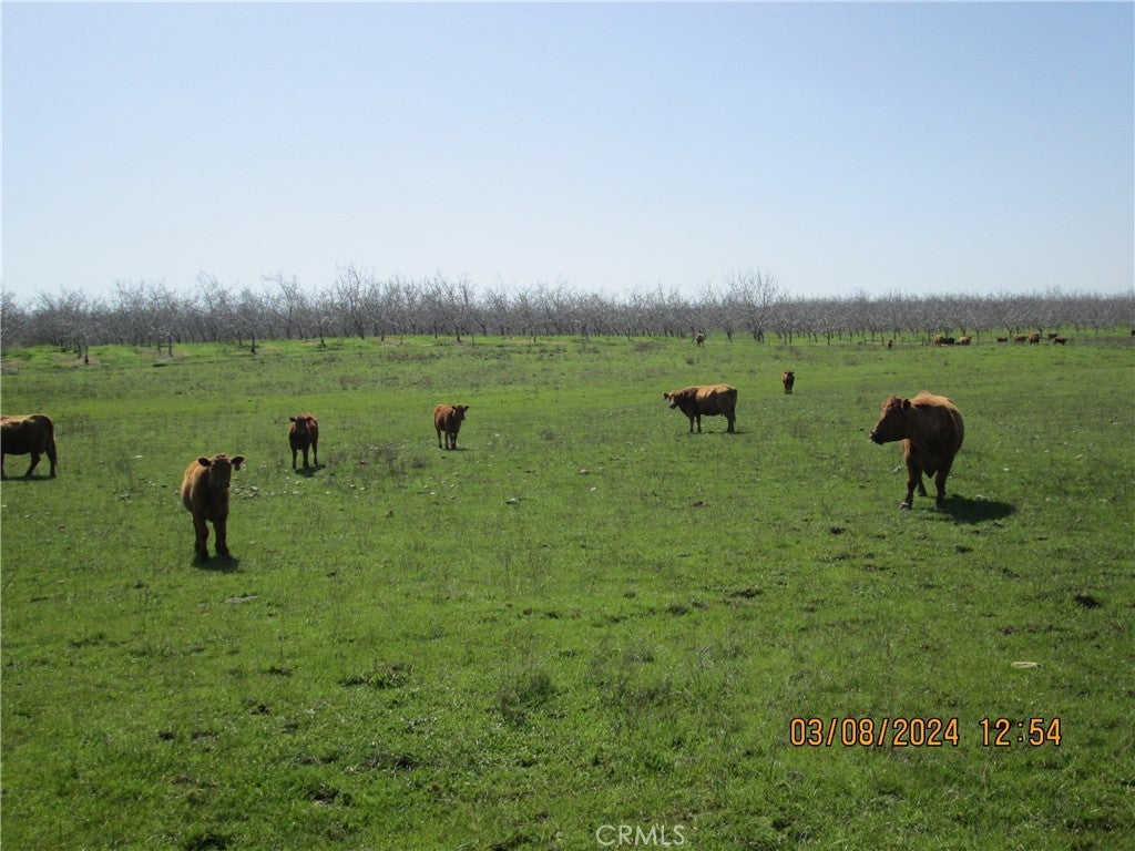 Highway 59, Winton CA Winton Lots/Land Homes For Sale