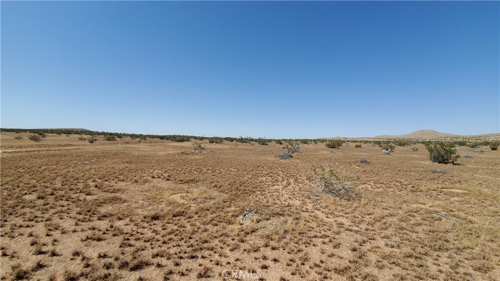 Photo of Listing #SR24096571