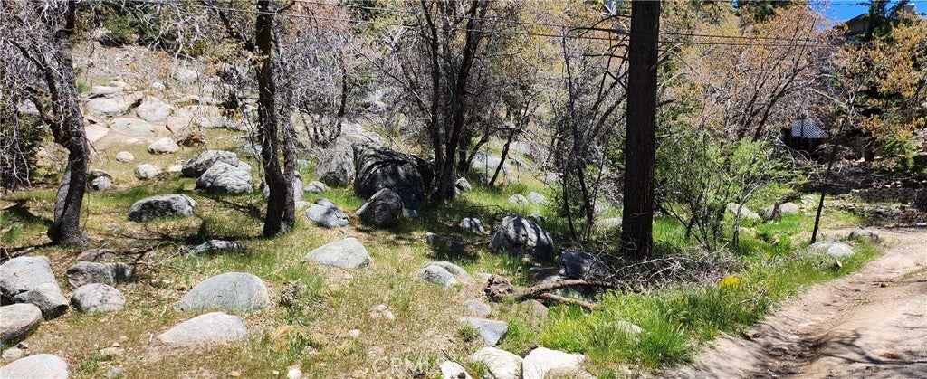 Photo of Listing #RW24099626