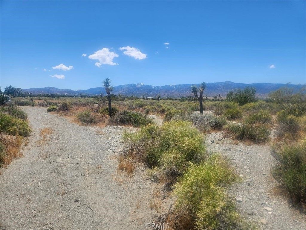 Minero Road, Pinon Hills