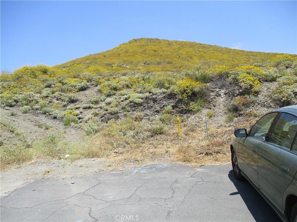 Photo of Listing #SW24099836