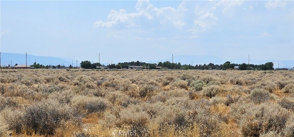 50th Street West, Rosamond