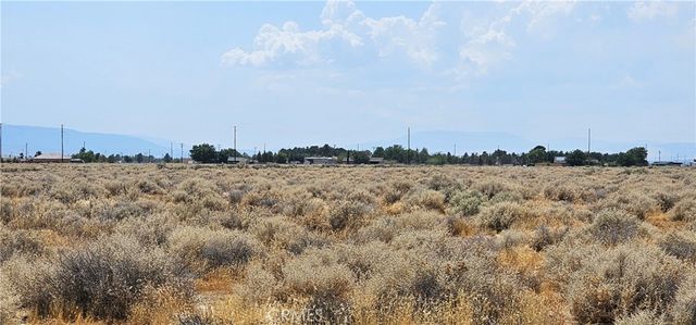 50th Street West, Rosamond