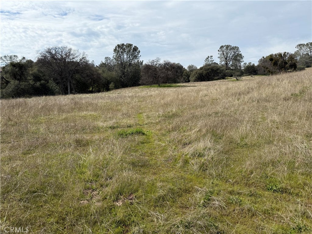 Photo of Listing #FR24106968