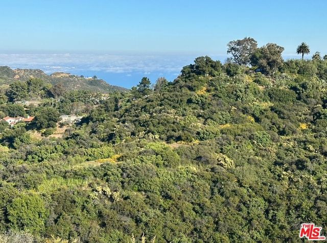 Fir Ridge Drive, Topanga