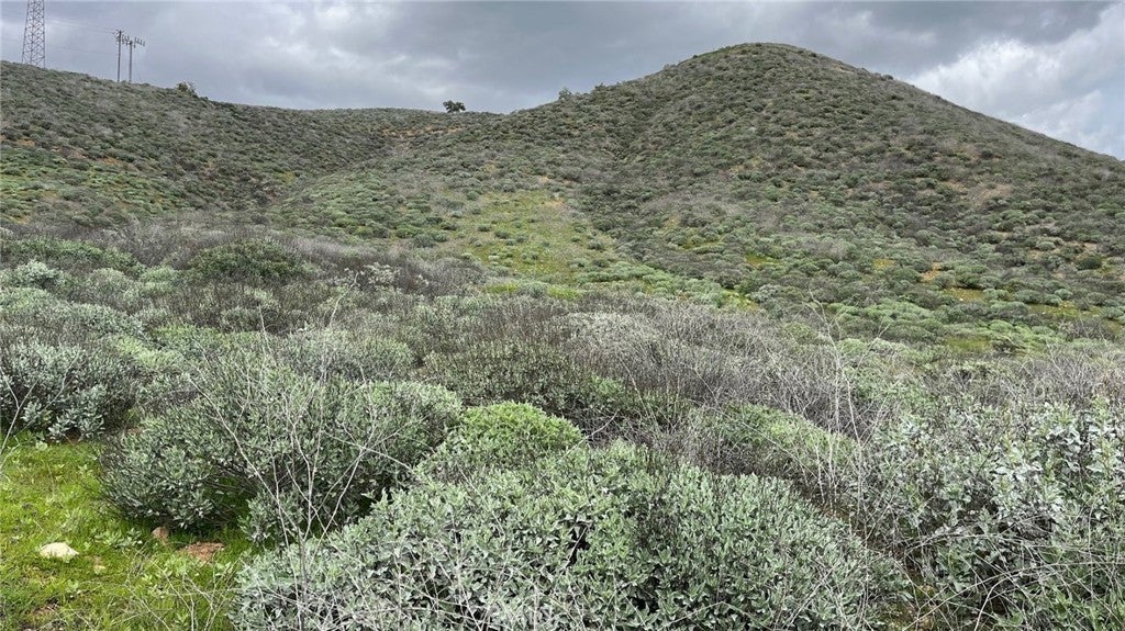 Photo of Listing #SW24124231