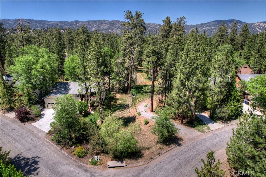 1239 Alpenweg, Big Bear Lake