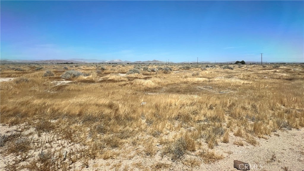 Photo of Listing #SR24128263