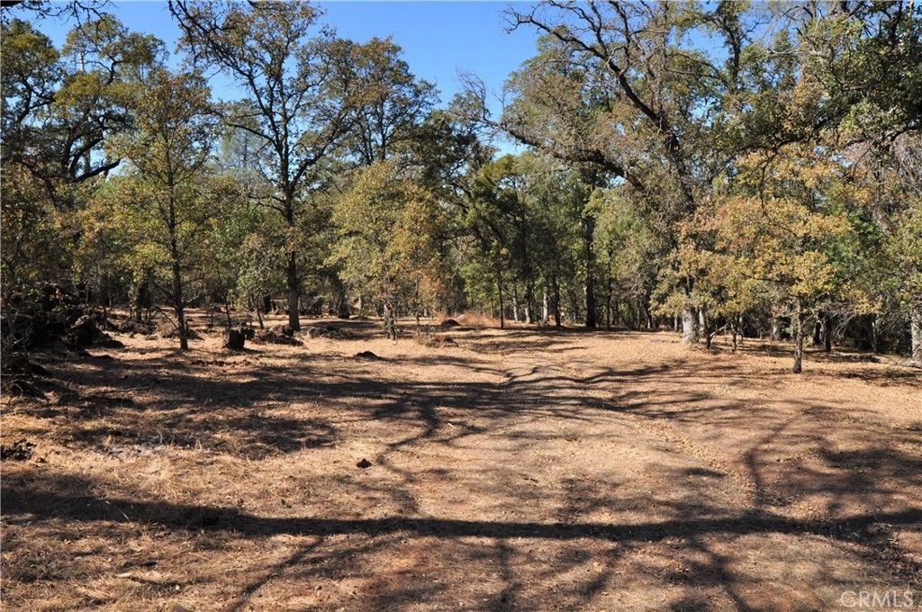 205 Cynthiann Lane, Oroville